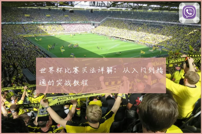 世界杯比赛买法详解：从入门到精通的实战教程
