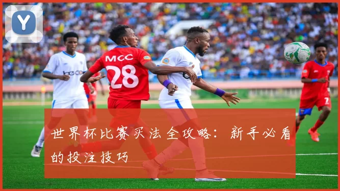 世界杯比赛买法全攻略：新手必看的投注技巧
