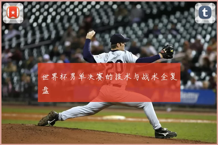 世界杯男单决赛的技术与战术全复盘