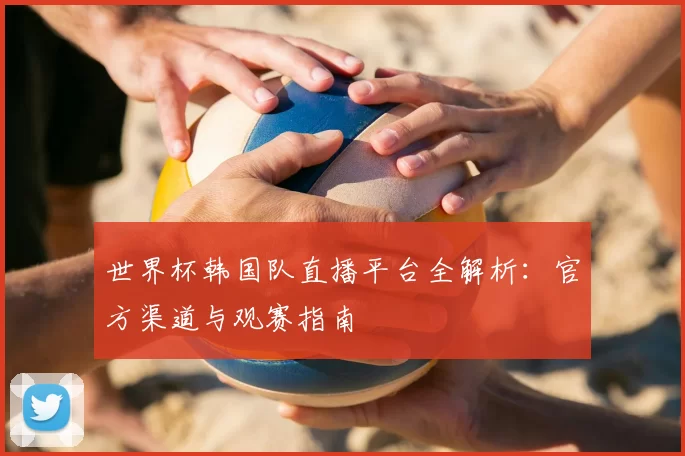 世界杯韩国队直播平台全解析：官方渠道与观赛指南