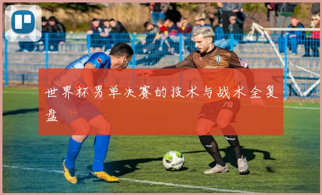 世界杯男单决赛的技术与战术全复盘