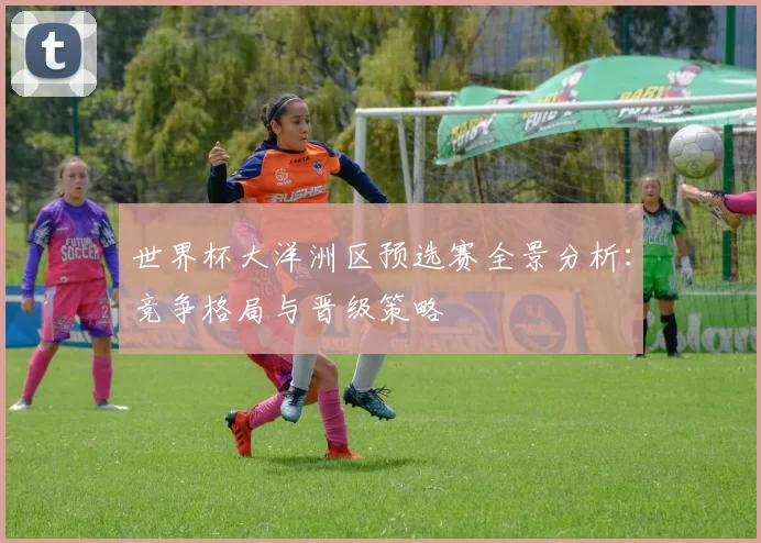 世界杯大洋洲区预选赛全景分析:竞争格局与晋级策略