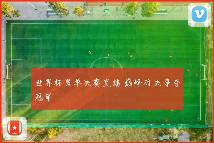 世界杯男单决赛直播 巅峰对决争夺冠军