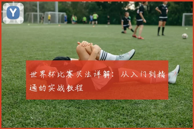 世界杯比赛买法详解：从入门到精通的实战教程