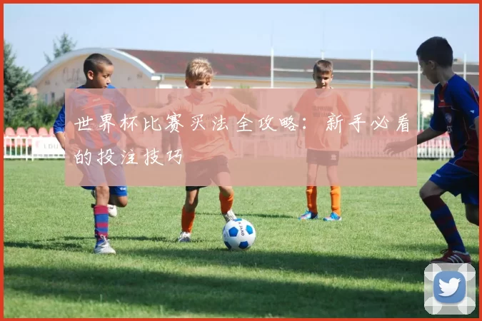 世界杯比赛买法全攻略：新手必看的投注技巧